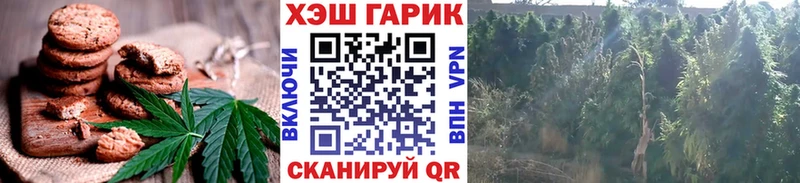 Купить где  Олонец  Еда ТГК конопля 