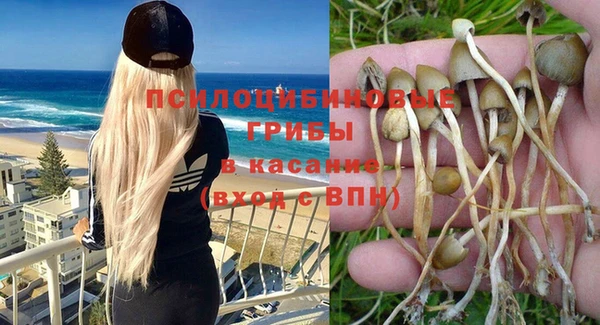стафф Баксан