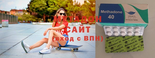 прущие грибы Балахна