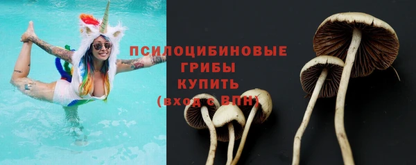 гашик Балабаново