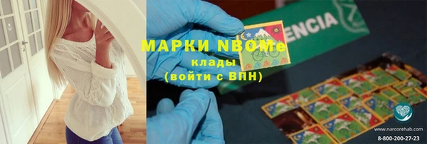 прущие грибы Балахна