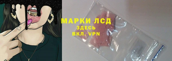 прущие грибы Балахна