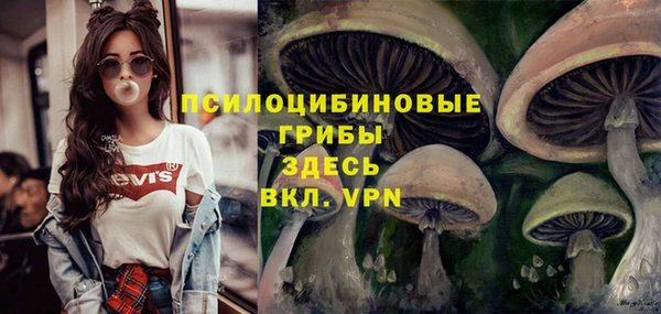 гашик Балабаново