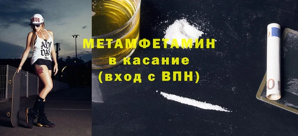 прущие грибы Балахна