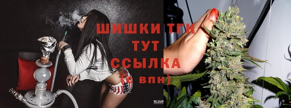 прущие грибы Балахна
