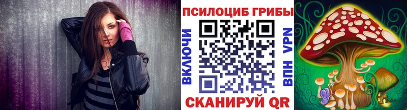 Галлюциногенные грибы Cubensis Олонец